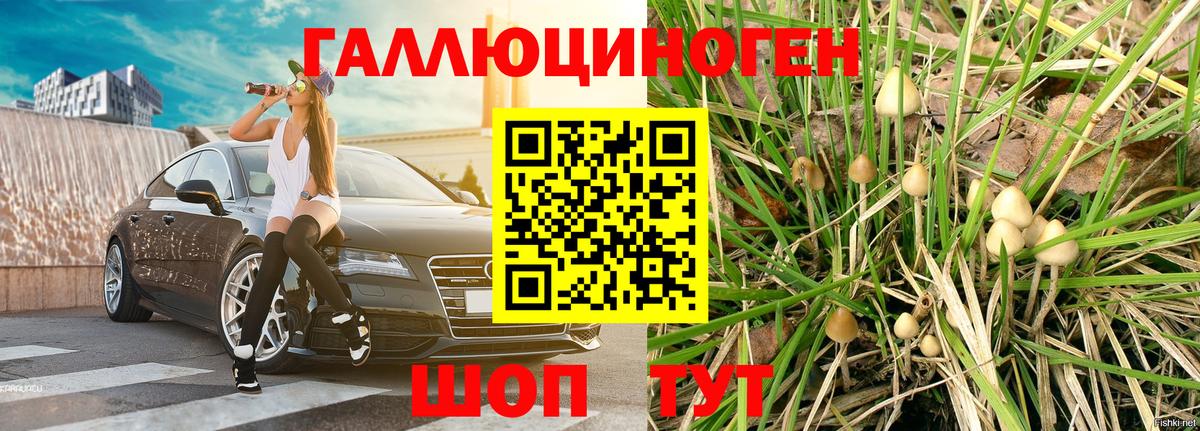 Псилоцибиновые грибы мицелий Дюртюли